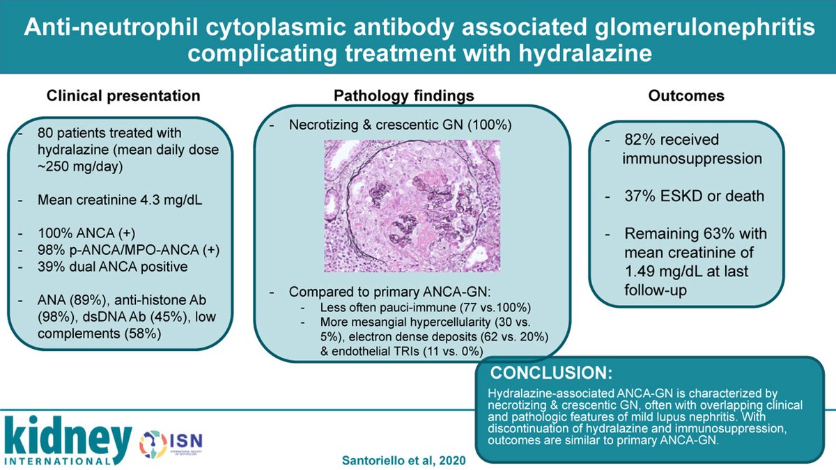 Kidney International (@kidney_int) on Twitter photo #ANCA associated GN complicating treatment with #hydralazine
doi.org/10.1016/j.kint…
@ColumbiaKidney <a href="/asbomback/">Andrew Bomback</a> <a href="/jradnephro/">Jai Radhakrishnan</a> #ANCA associated GN complicating treatment with #hydralazine
doi.org/10.1016/j.kint…
@ColumbiaKidney <a href="/asbomback/">Andrew Bomback</a> <a href="/jradnephro/">Jai Radhakrishnan</a>