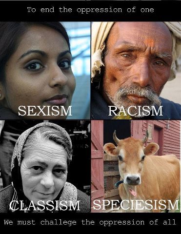 GerardStephanie's tweet photo. #endspeciesism #EndRacism #endclassism #endsexism https://t.co/aekzJ1YN41