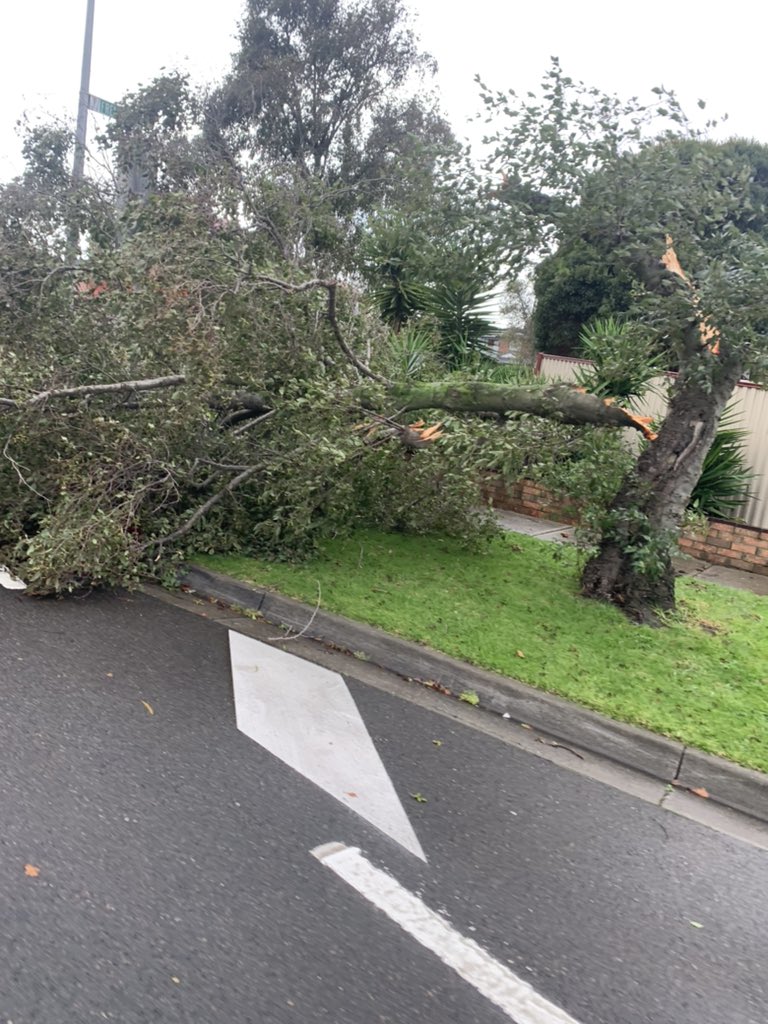 Laura tweet media