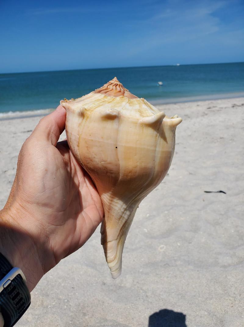 JSallett's tweet photo. My friend Jeffrey is a finalist in the South Seas Island Resort's Photo Contest! Help rally votes: https://t.co/mdHhU0ySN7 @SSIslandResort https://t.co/DfjTuh70Vi