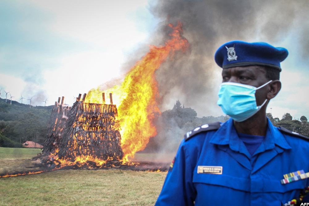 newvisionwire's tweet photo. GONE UP IN FLAMES! 🔥

A total of 5,144 illegal firearms were burned at the Regional Police Traffic Training Centre in Ngong, #Kenya🇰🇪. They were voluntarily surrendered by civilians for the government’s amnesty since 2020. 

#VisionUpdates #NewVisionAt35 https://t.co/DiYOYrEDw7