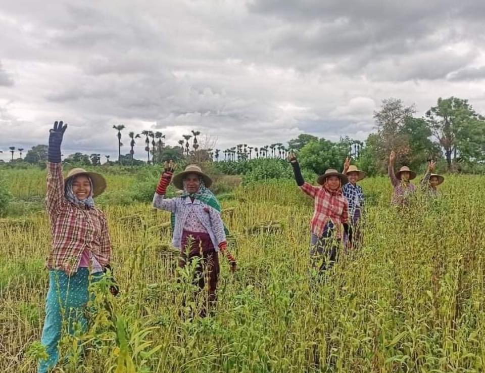 KooKie9070's tweet photo. 9/#Watlet Tsp: Shwe Pan Kone Village's crops farmers flashed three fingers salute and protested against SAC Terrorists while working in the field.
#WhatsHappeningInMyanmar #June10Coup https://t.co/jx8z0uMzRr