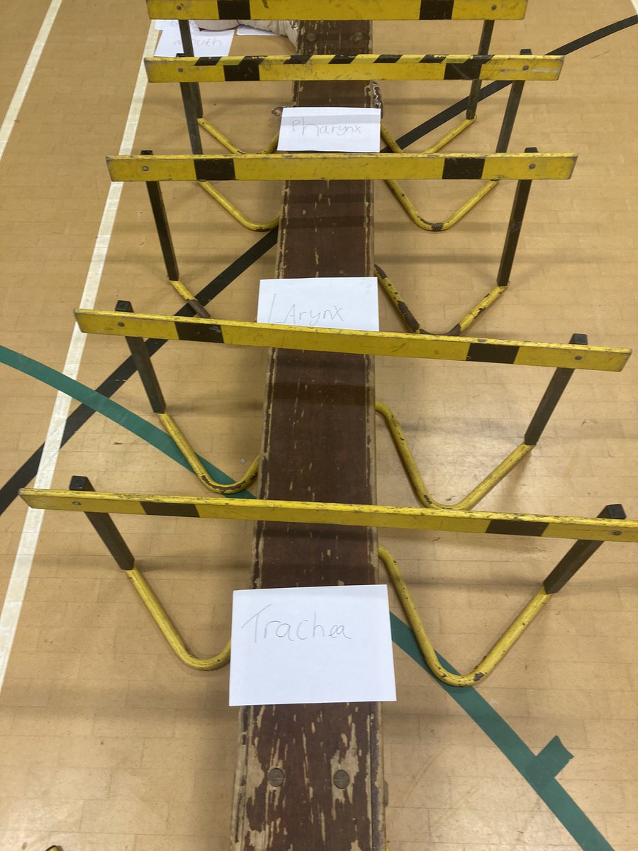 GeareyMr's tweet photo. Yesterday we gave the keys to the department’s facilities to the year 12 Btec level 3 group and asked them to build the cardio respiratory system based on what they’ve learnt. Quite impressed. #btecsport #unit1and2 #bteclevel3 #pearsons https://t.co/3Kecg3fQdr