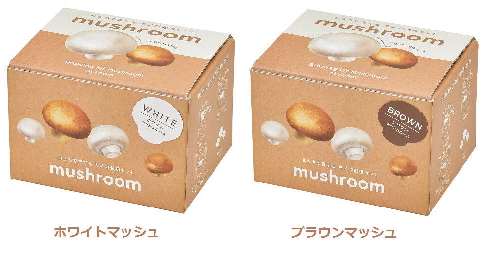 SEISHIN_TOUGEI's tweet photo. 新商品！その名も…！

＿人人人人人人人人人人人人人＿
＞おうちでキノコ栽培セット！＜
￣Y^Y^Y^Y^Y^Y^Y^Y^Y^Y^Y￣

マッシュルームをおうちで育てられるよぉぉ！
かわいいいぃぃぃ！🍄
10月発売予定！

※お取引先様へ
受注生産となりますのでお急ぎください！
詳細は聖新陶芸までご連絡ください！ https://t.co/sHtTPSM3GQ