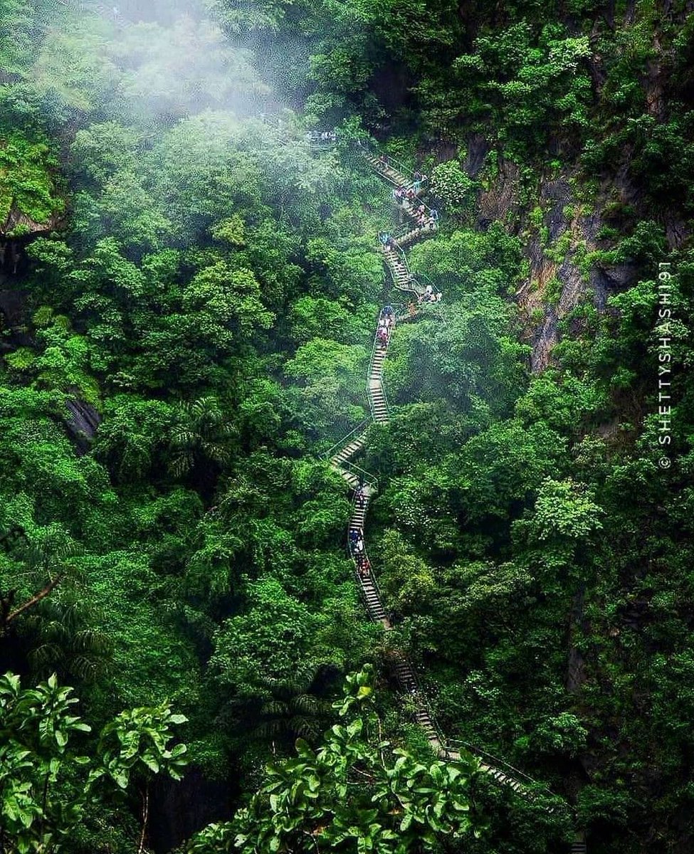 LocalziOfficial's tweet photo. Jog Falls is formed by the waters of the Sharavathi river on its way to join the Arabian Sea.
@shettyshashi91
#jogfalls #waterfalls #karnataka #karnatakatourism #nature #wildlife #greenery #sharavatiriver #sharavathivalley #gerusoppafalls #tourismofindia #tourismofkarnataka https://t.co/Tl5uyuPUQT