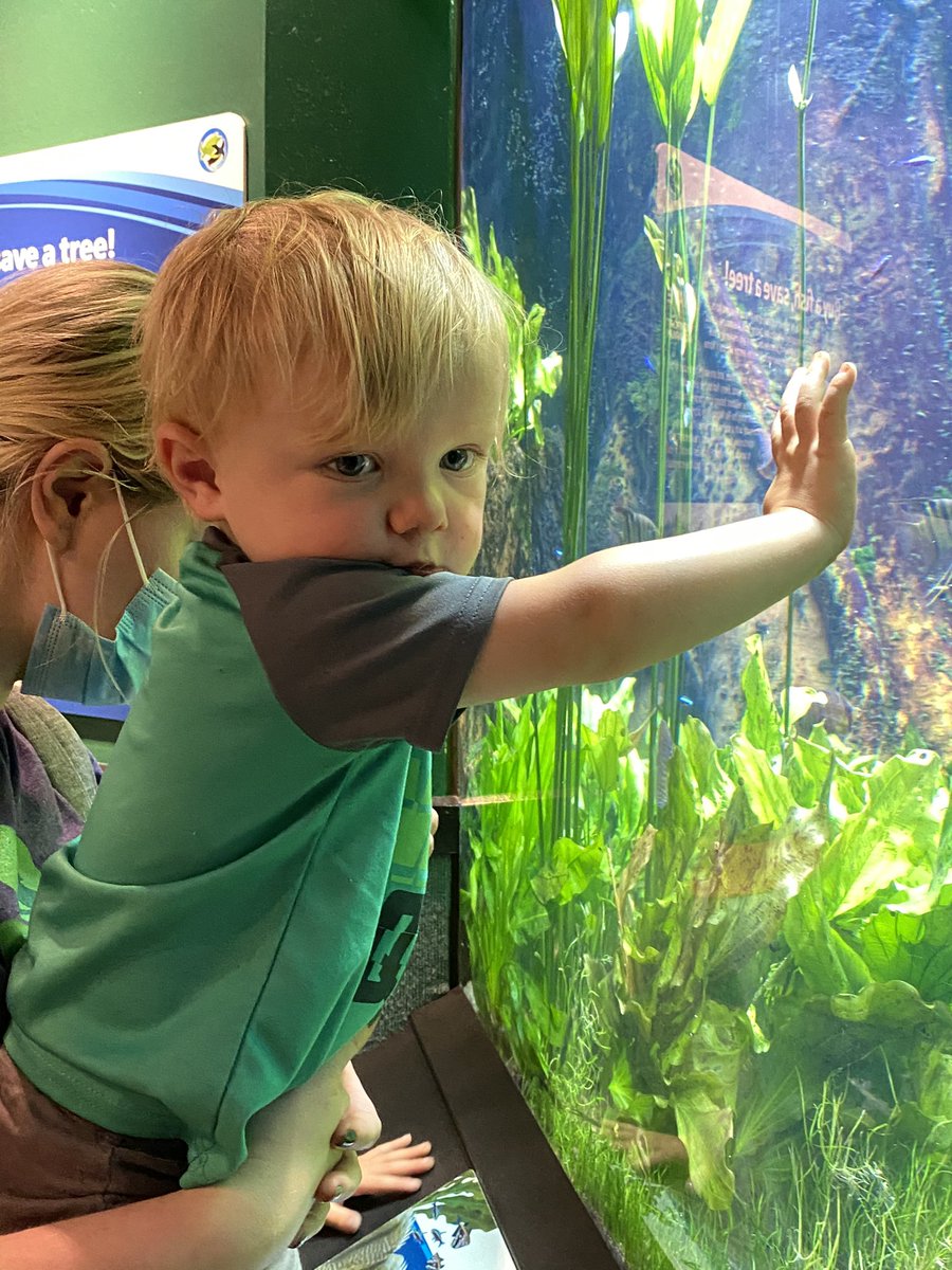 TracyLZiegler's tweet photo. More pics from the aquarium. 🐠💙 https://t.co/UM0Un4v3pM
