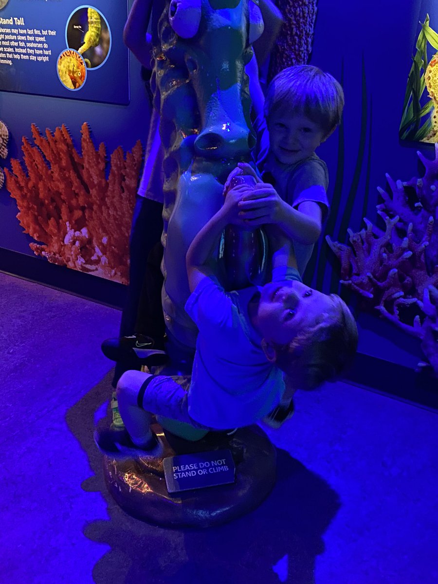 TracyLZiegler's tweet photo. More pics from the aquarium. 🐠💙 https://t.co/UM0Un4v3pM