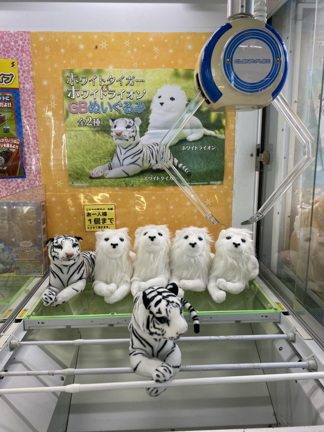 レア 新品 ご当地キティ 東武動物公園限定 ホワイトタイガー親子バージョン5個
