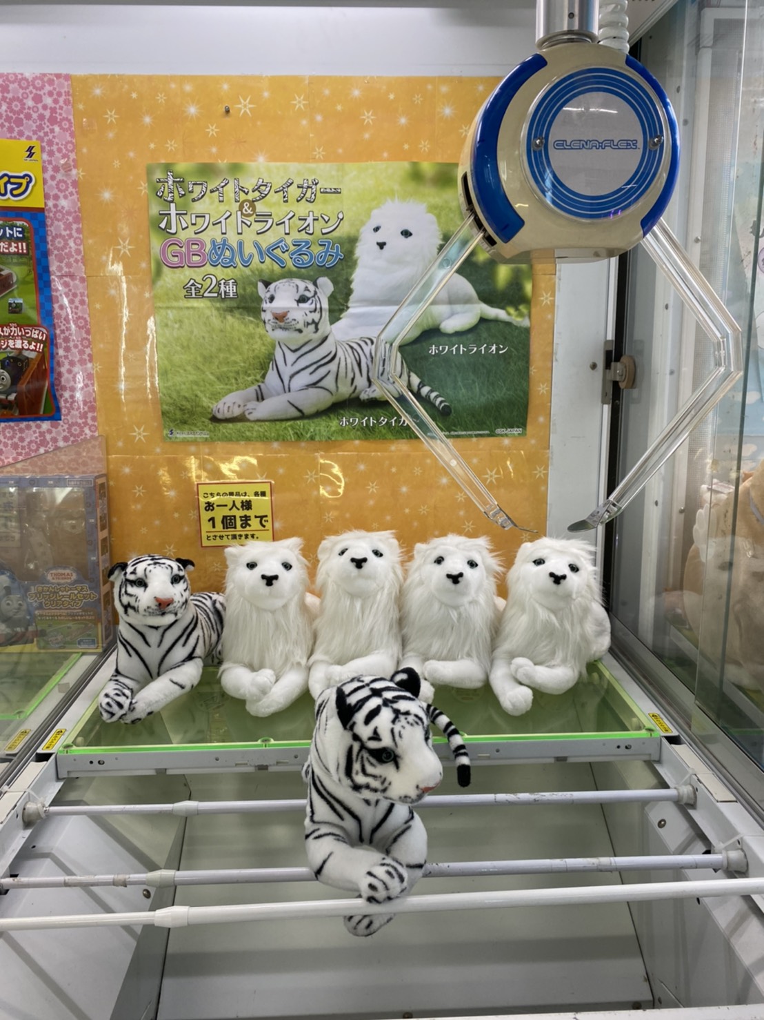 東武動物公園【公式】あとらこ🎢 on X: 