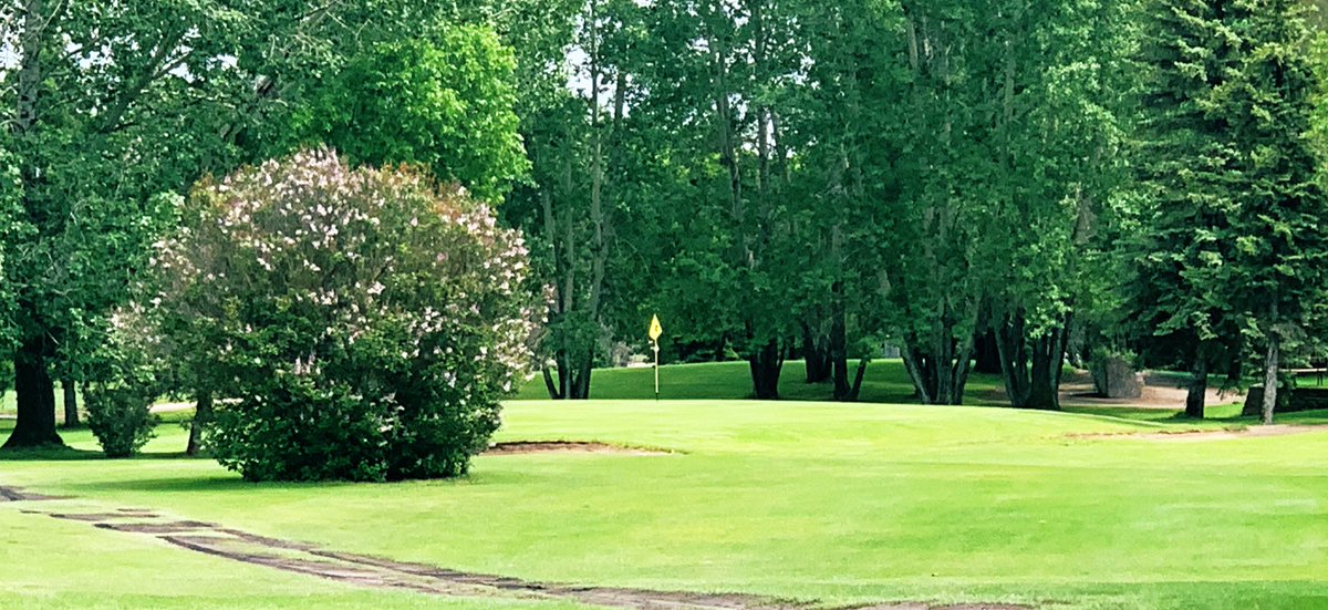 Golf Saskatchewan tweet media