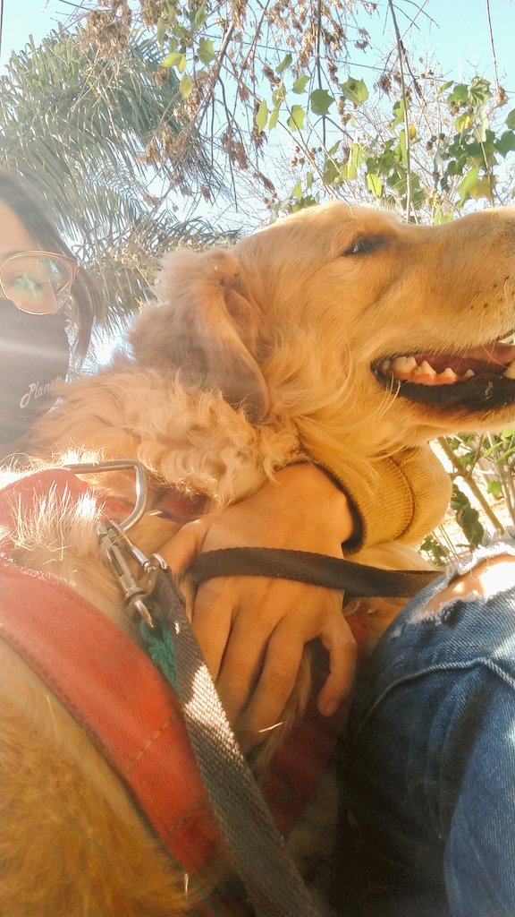 SteefiAmaya's tweet photo. Este bebito hoy cumple un mes sin convulsionar y es gracias al cannabis 🥰 #QueSeaLegal el aceite de cannabis de uso medicinal y veterinario 🙏 https://t.co/QAXcfQiHM1