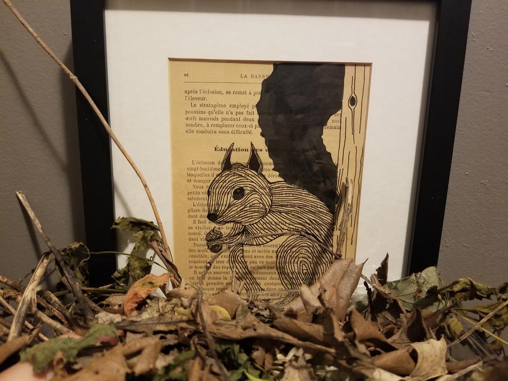 ConsMedDvm's tweet photo. Squirrel nest - item 2
#TeamOneHealth #LECBioHunt @LECBiodiversity https://t.co/1yK3bYu8Qe
