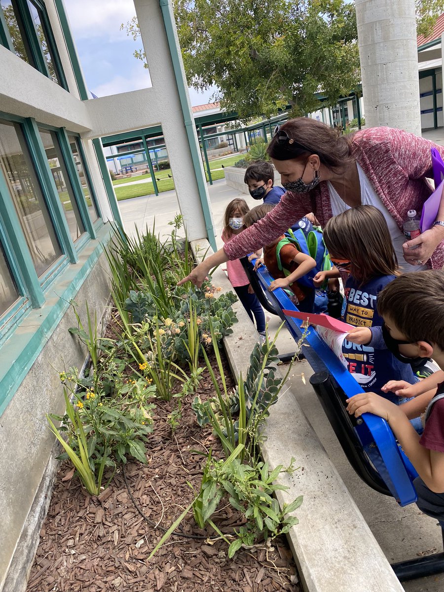 TLMakerspace's tweet photo. Learning doesn’t always happen in the classroom. Mrs. Ramos  TKers took a break outside to learn about butterflies and their life cycle. #HawkPride @TLSHawks @PVSDCamarillo https://t.co/chmsS7UBIn