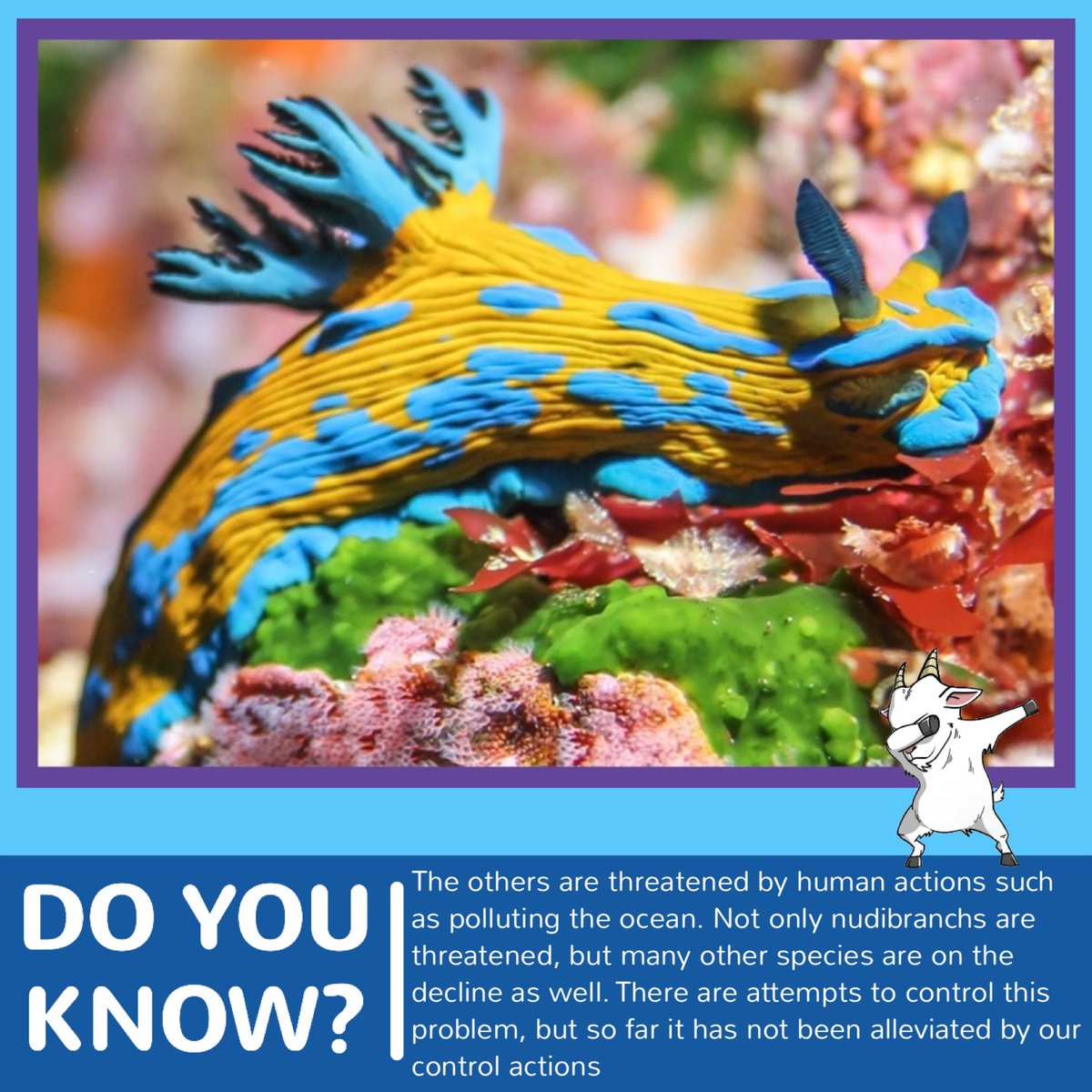 AquaBsc's tweet photo. Learn more on: https://t.co/mlneSgmV0a
@WorldOceansDay
#AquaGoat #WorldOceanDay #Protect30x30 #OceanWeekWithAquaGoat #SavingTheOceanWithAquaGoat
#OceanCleanUp https://t.co/QUNfidiBPg