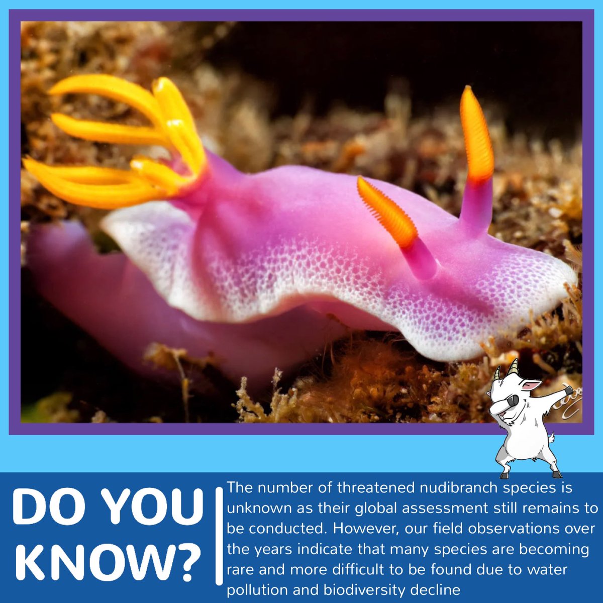 AquaBsc's tweet photo. Learn more on: https://t.co/mlneSgmV0a
@WorldOceansDay
#AquaGoat #WorldOceanDay #Protect30x30 #OceanWeekWithAquaGoat #SavingTheOceanWithAquaGoat
#OceanCleanUp https://t.co/QUNfidiBPg