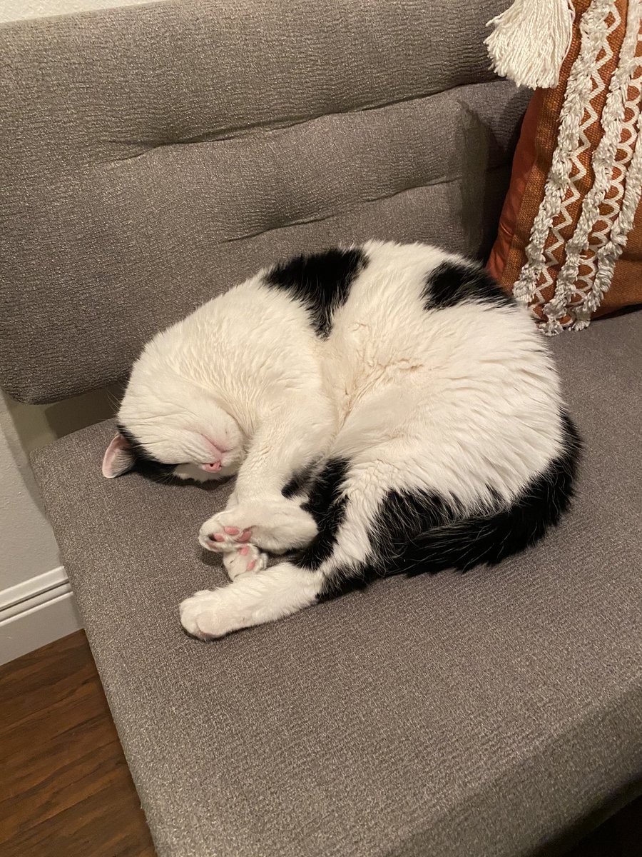 I wish i could ever be this comfortable