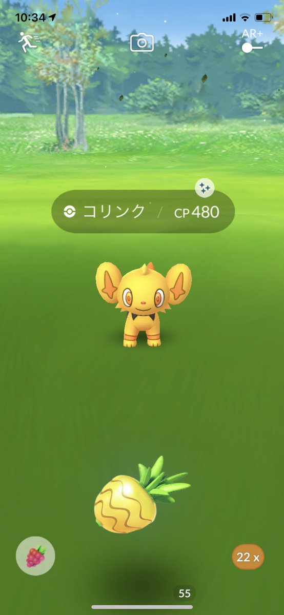 コリンク 進化 レベル プラチナ コリンク 進化 レベル プラチナ