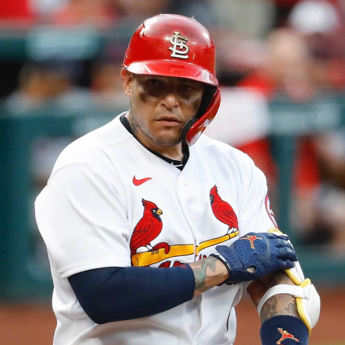 Cardinals's tweet photo. Serious 🐐

- or -

Happy 🐐 https://t.co/IeYFwODg3t