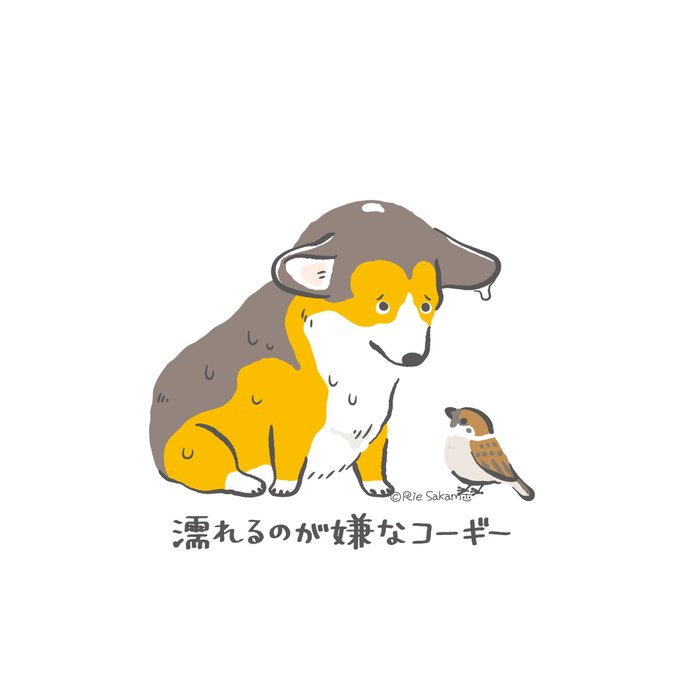 「corgi」のTwitter画像/イラスト(新着))