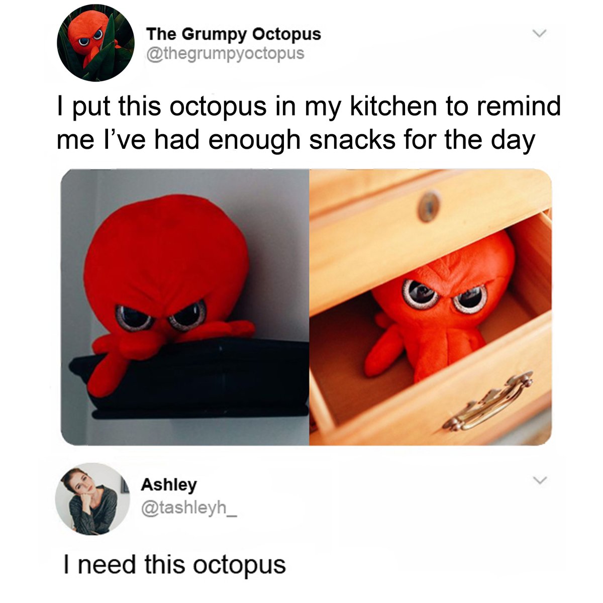 I put this octopus in my kitchen to remind I've had enough snacks for the day...