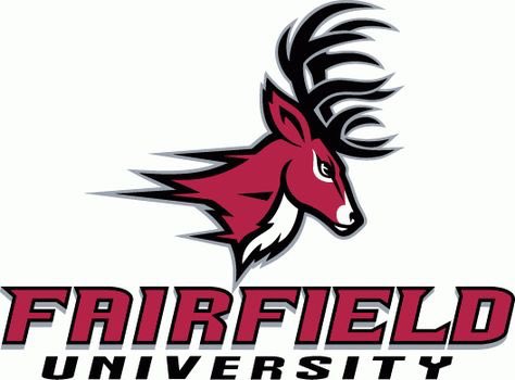 tjhurley9's tweet photo. Blessed to receive my first D1 offer from Fairfield University! #GoStags @CoachJayYoung @FairfieldMBB @hoops_florida https://t.co/NeqnChFpGz