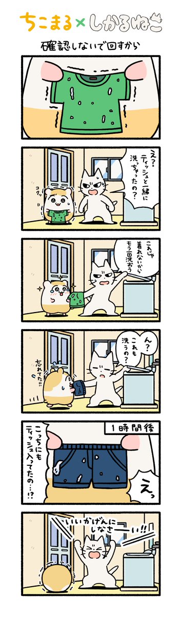 確認しないで回すから🐱🐹
@shikaruneko  #ちこまる #しかるねこ 