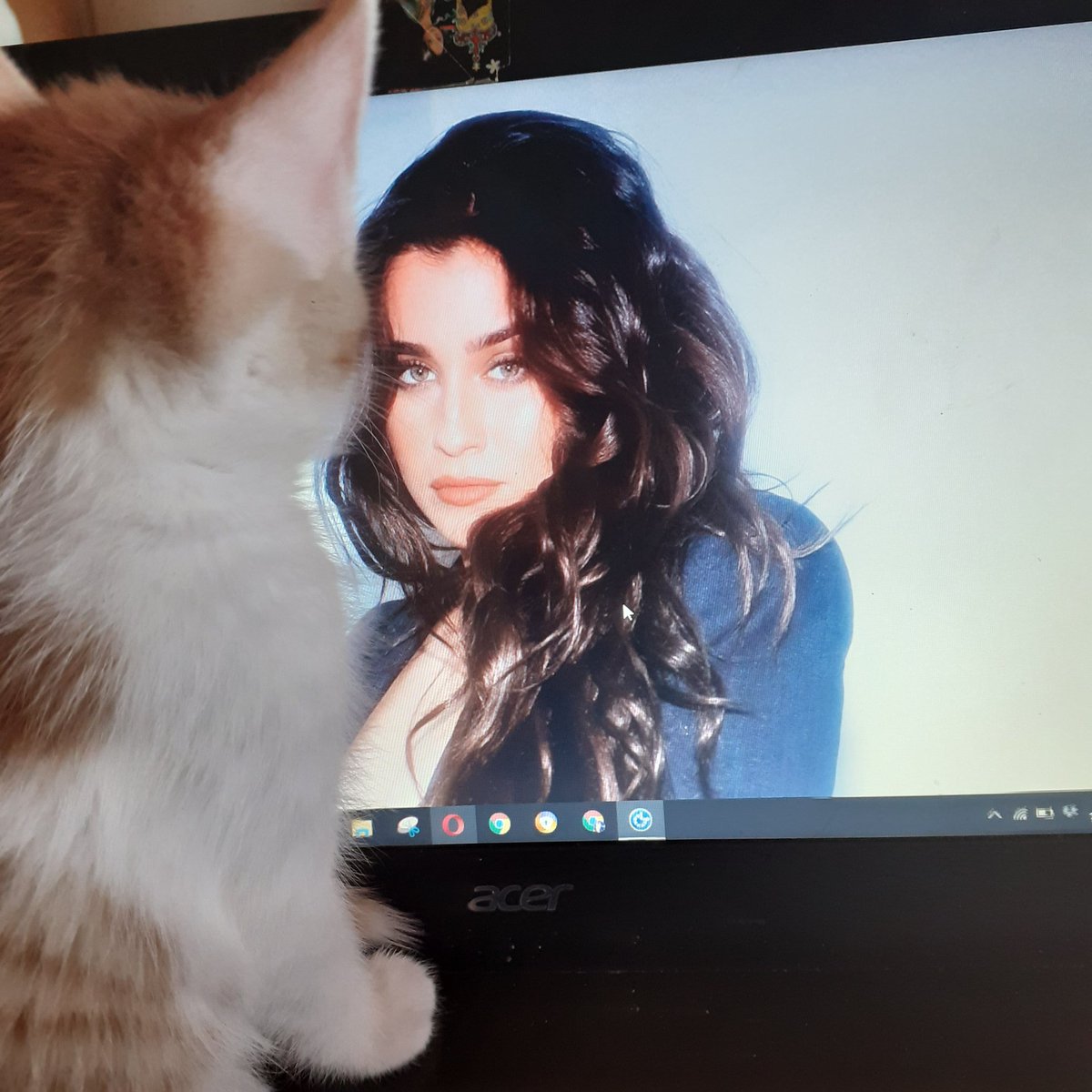 LaurenJauregui's tweet photo. Some wholesome Wednesday content I found on the internet<3 https://t.co/fvyisYxrjf