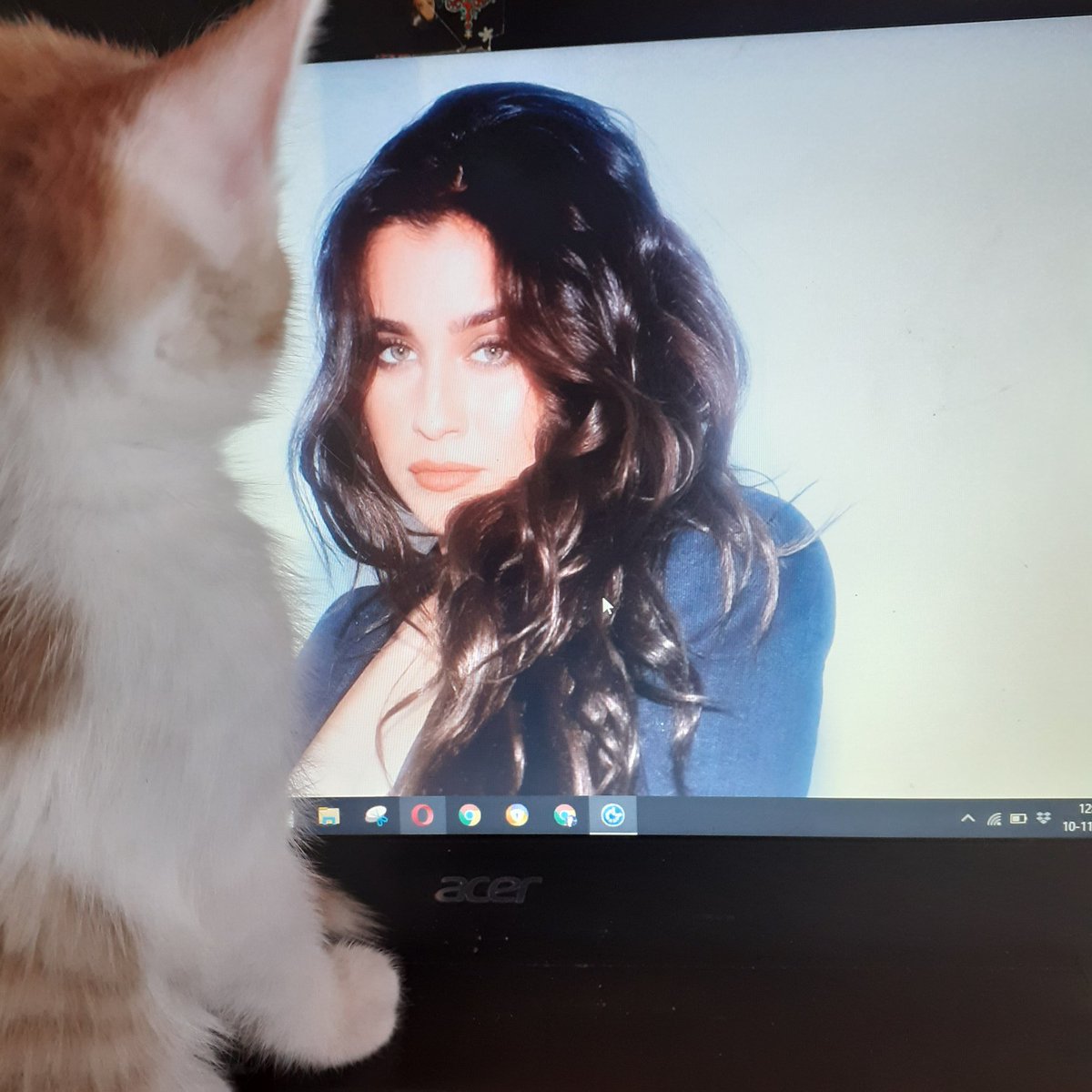 LaurenJauregui's tweet photo. Some wholesome Wednesday content I found on the internet<3 https://t.co/fvyisYxrjf