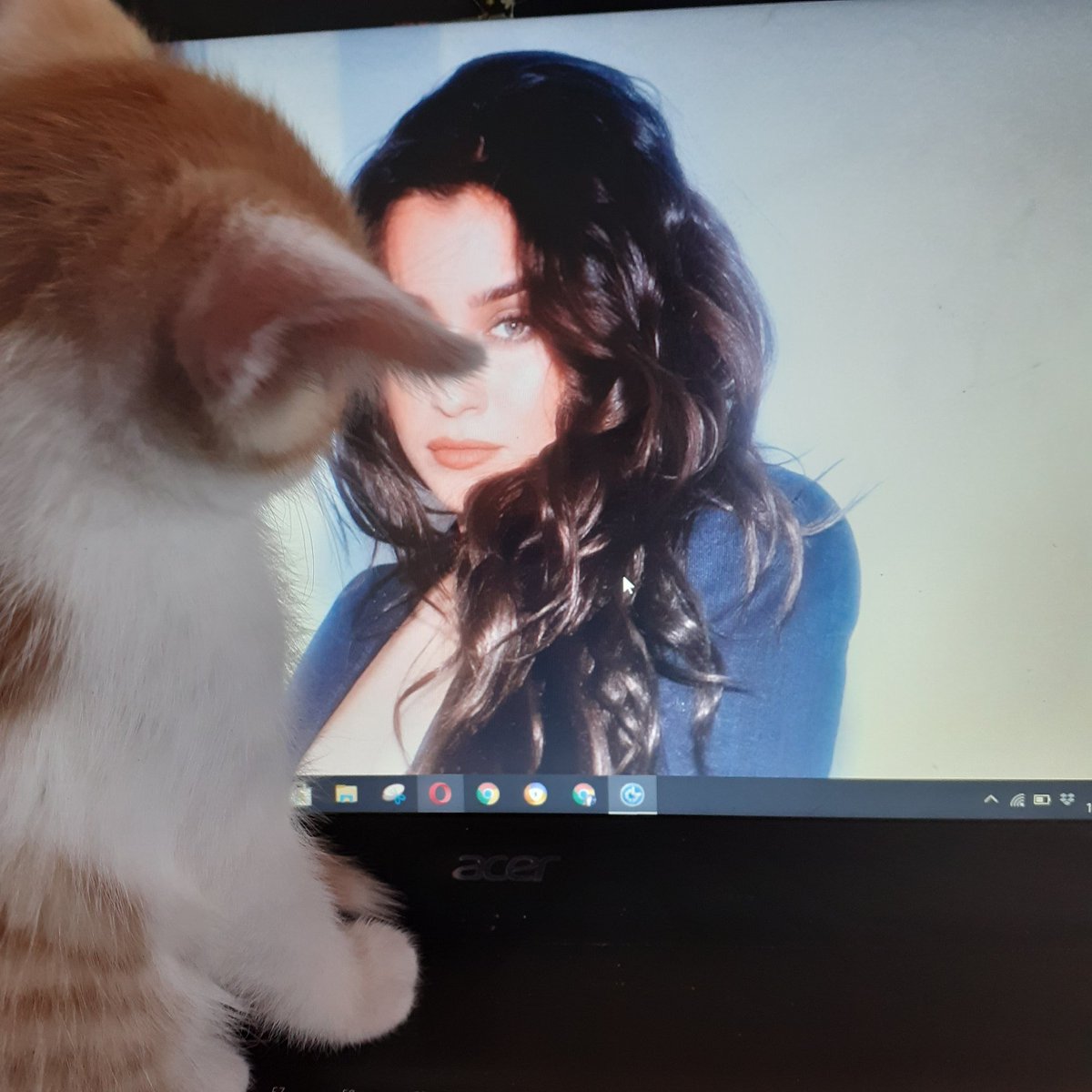 LaurenJauregui's tweet photo. Some wholesome Wednesday content I found on the internet<3 https://t.co/fvyisYxrjf