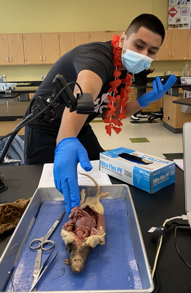 Davis Tran tweet media