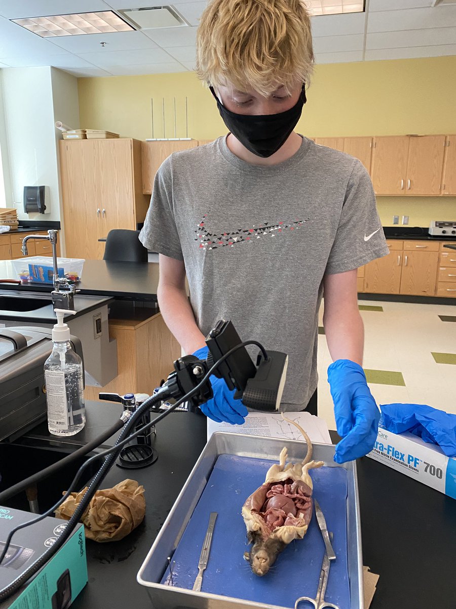 Davis Tran tweet media