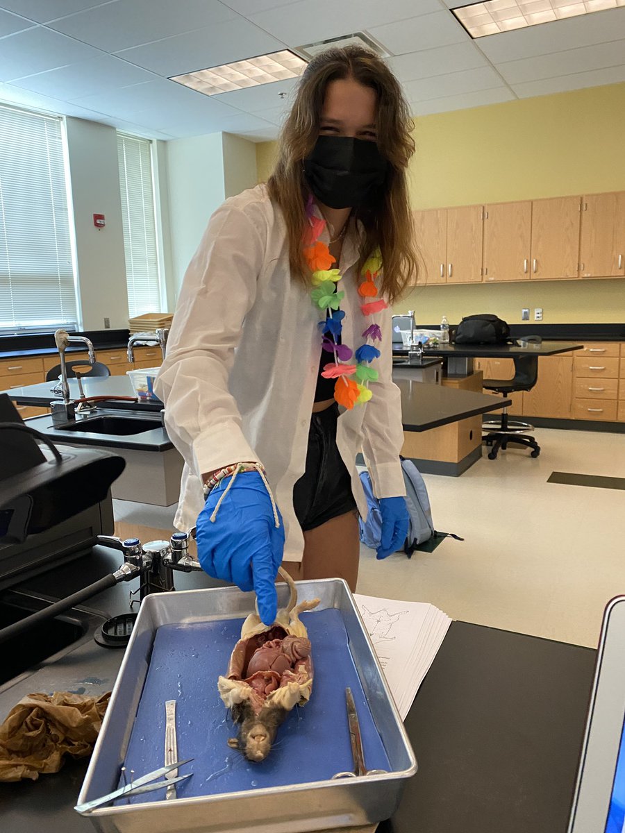 Davis Tran tweet media