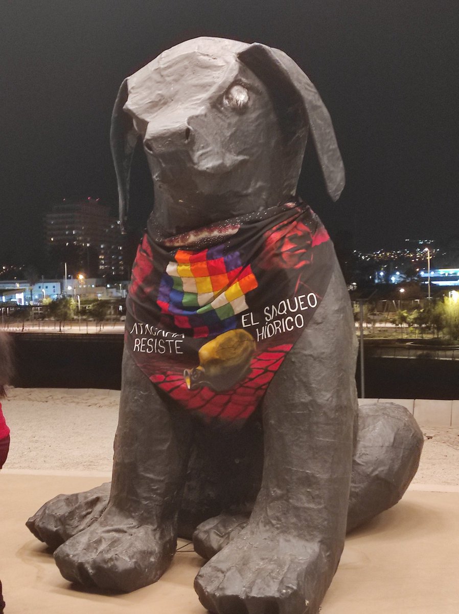 UDEMA estuvo presente en la jornada de hoy como apoyo a la Asamblea Constituyente Atacama ✊

#udemahistorico