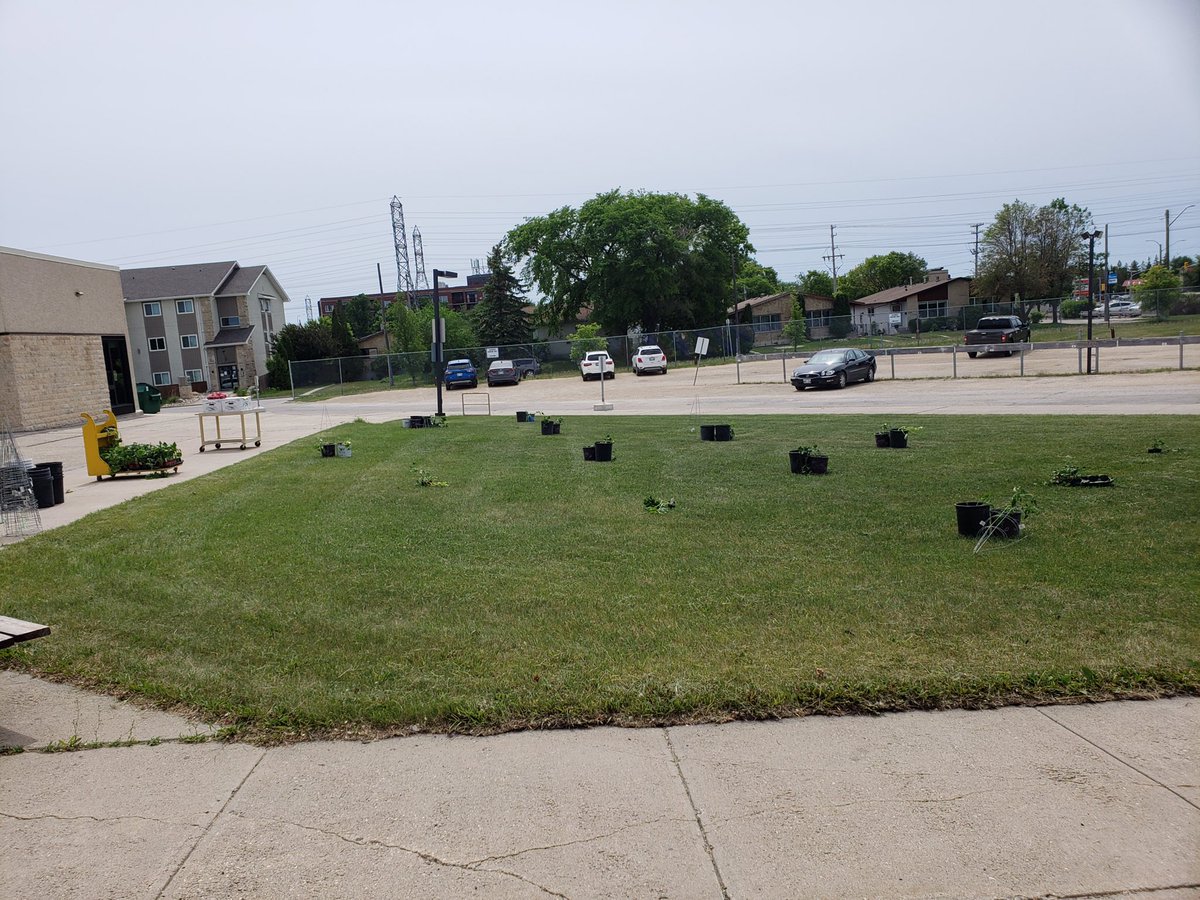 rdcLRSD's tweet photo. “To forget how to dig the earth and tend the soil is to forget ourselves.” ~Mahatma Ghandi.Families are reconnecting with the land and supporting food security through gardening, thanks to generous donations from @SecondHarvestCA @ShelmerdineHG @LacosteGarden #RDCgrows https://t.co/KczBGNKXLo