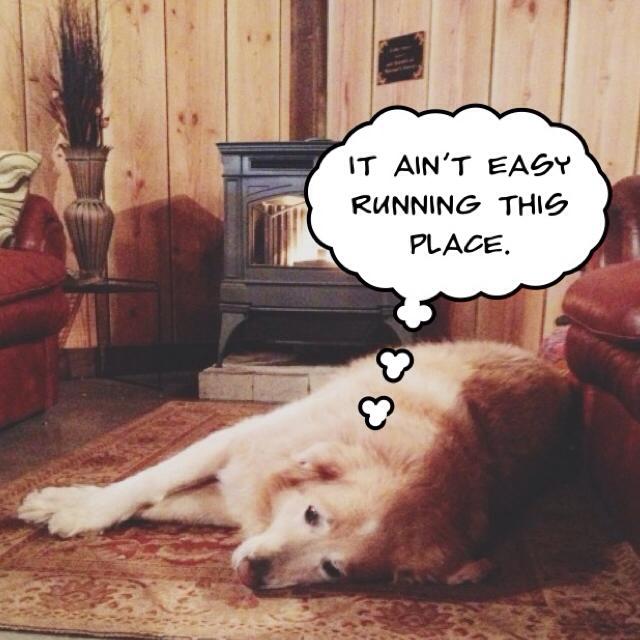 Come join Jake and the gang for a weekend of fun! conta.cc/3gaVA7C