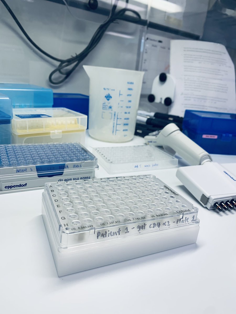 Long and arduous days of G&Tseq! But how cool is to separate and parallel sequence the DNA and RNA from the same gluten specific T cells from the gut! #singlecellsequencing #Tcells #scRNAaseq #celiacdisease #gutimmunology