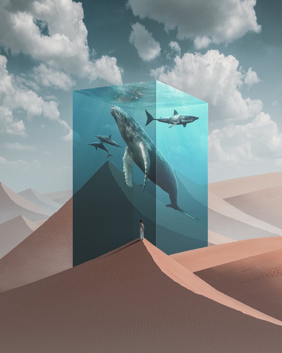 tomnoske_'s tweet photo. Here are my remaining NFTs available on @withFND!

Enigmatic 🌌 - https://t.co/xaPMbaOEqd

The Reclamation 🐋 - https://t.co/F4juInCACc

The Voyager 🏴‍☠️ - https://t.co/id3xdowkbW

The Divergent 🌲 - https://t.co/8lNHScXh7H

#NFTcommunity #NFTart #nftcollector #NFTartist https://t.co/HKGtj86DCs