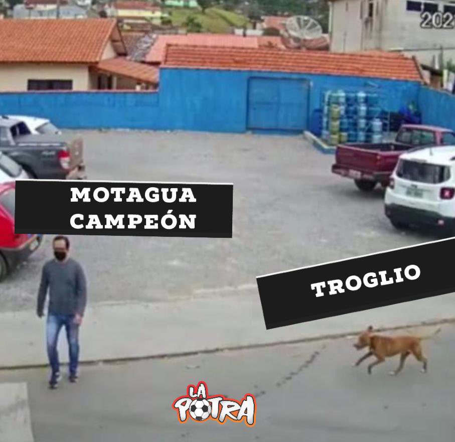 lapotrahn's tweet photo. #MemeReal https://t.co/DCY7UHh3Tl