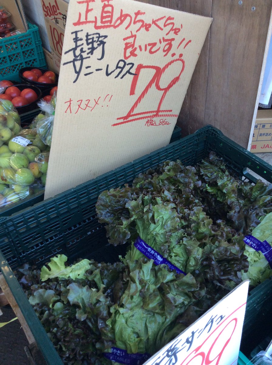 マインド堀江店 على تويتر 青果コーナーから サニーレタス79円 サンチュ3パック99円 サラダ菜4袋100円 ほうれん草99円 お買得です マインド マインド堀江店 浦安 サニーレタス サンチュ サラダ菜 ほうれん草 マインド堀江店 على تويتر 青果コーナーから サニーレタス79円 サンチュ3パック99円 サラダ菜4袋100円 ほうれん草99円 お買得です マインド マインド堀江店 浦安 サニーレタス サンチュ サラダ菜 ほうれん草