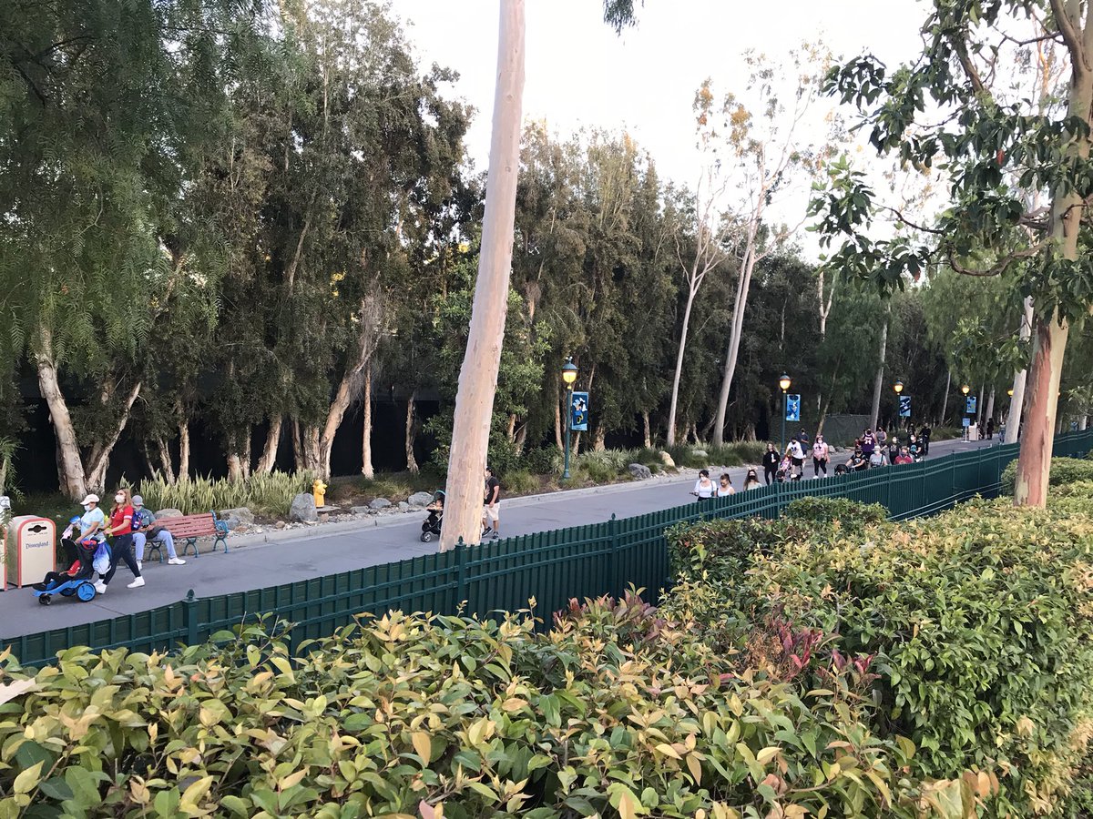 MagicAndWalnut's tweet image. A privacy screen has been installed along the green fence that runs the length of the @Disneyland tram route, further insulating guests from the “outside world” (of Disneyland Drive) as they traverse the half-mile tram route on foot.
