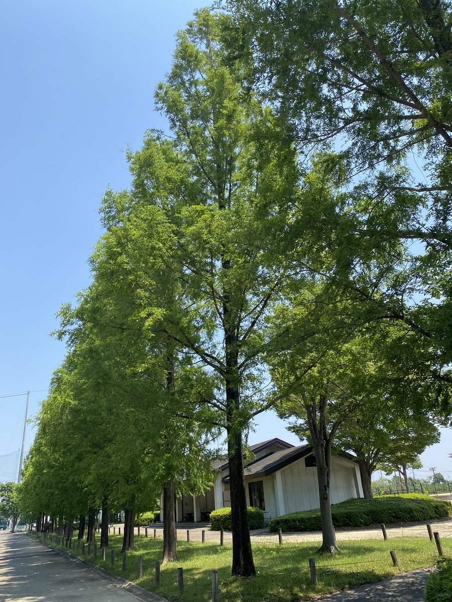 ট ইট র モータープール アロハー ここハワイは今日も晴れー イイ天気です なんちゃてー 埼玉県行田市だべ いまそら 埼玉県北部 行田市 仕事しろ