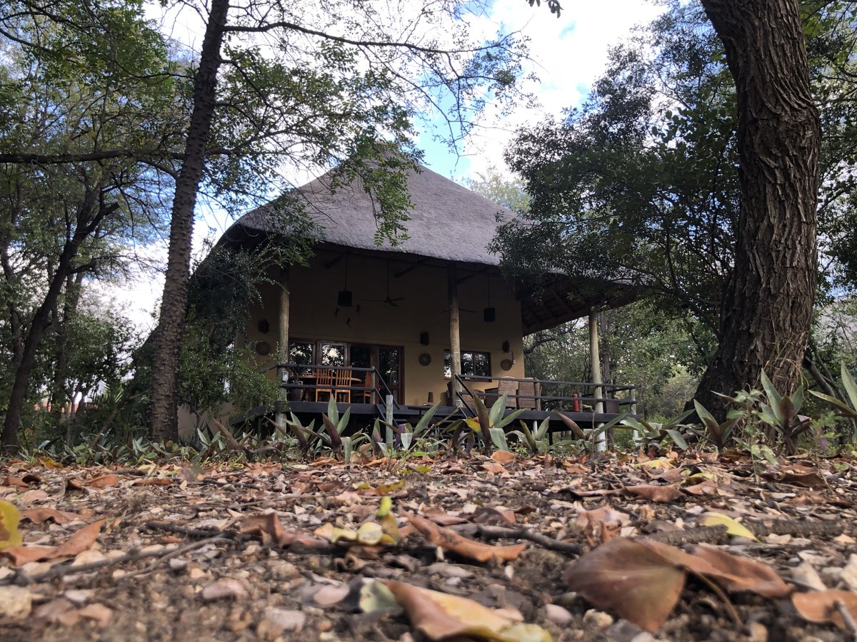 Bush Villas on Kruger is strategically located within walking distance of restaurants, shops and a spa - but more importantly, just 2km from the entrance to the world-renowned Kruger National Park. Find out more on bushvillasonkruger.com #BushVillasonKruger