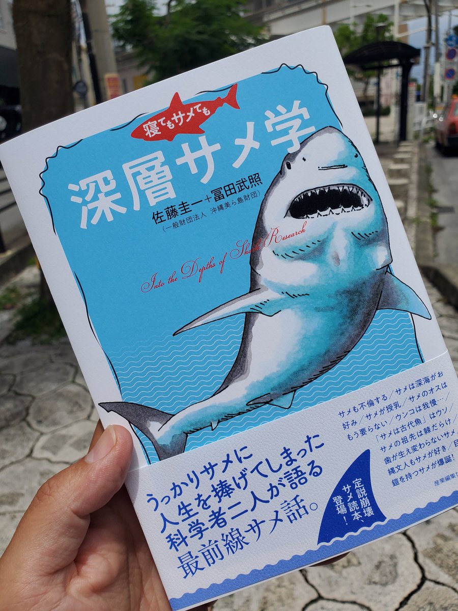 サメの話しようぜ サメの話しようぜ