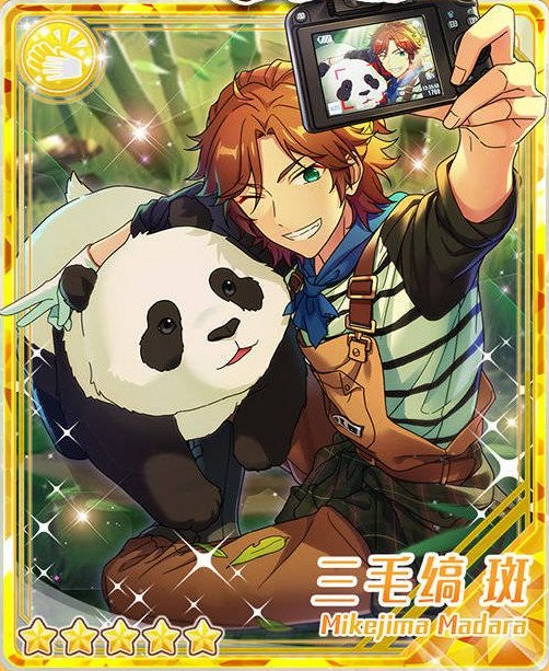 動物たちと戯れる三毛縞斑シリーズ ①〔ママとイルカ〕三毛縞 斑 ②