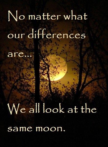 GrannyMooninVA's tweet photo. https://t.co/jkMLNs1fxO