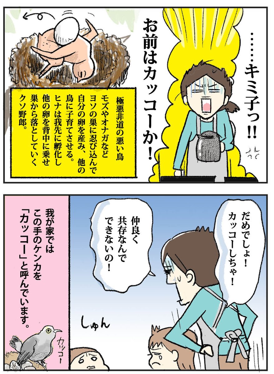 【ブログ過去記事】
この手のケンカを『カッコー』と呼ぶ 