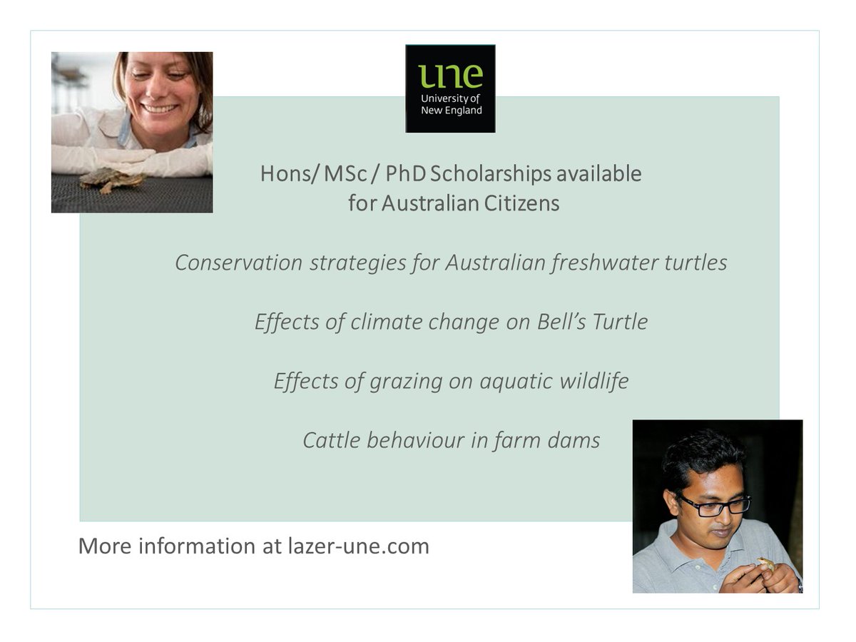 (tweet with alt text sorry &amp; thanks)
Hons/MSc/PhD scholarships for Aussie citizens <a href="/UniNewEngland/">Uni of New England</a> in <a href="/LazerUne/">lazer_une</a> &amp; <a href="/ERS_UNE/">ERS_UNE</a>
 
#turtleconservation #conservationag #fire #frogs  
*
lazer-une.com
*
lazer-une.com/scholarships-i…
*
une.edu.au/research/hdr/s…
*
lazer-une.com/bushfire-respo…
