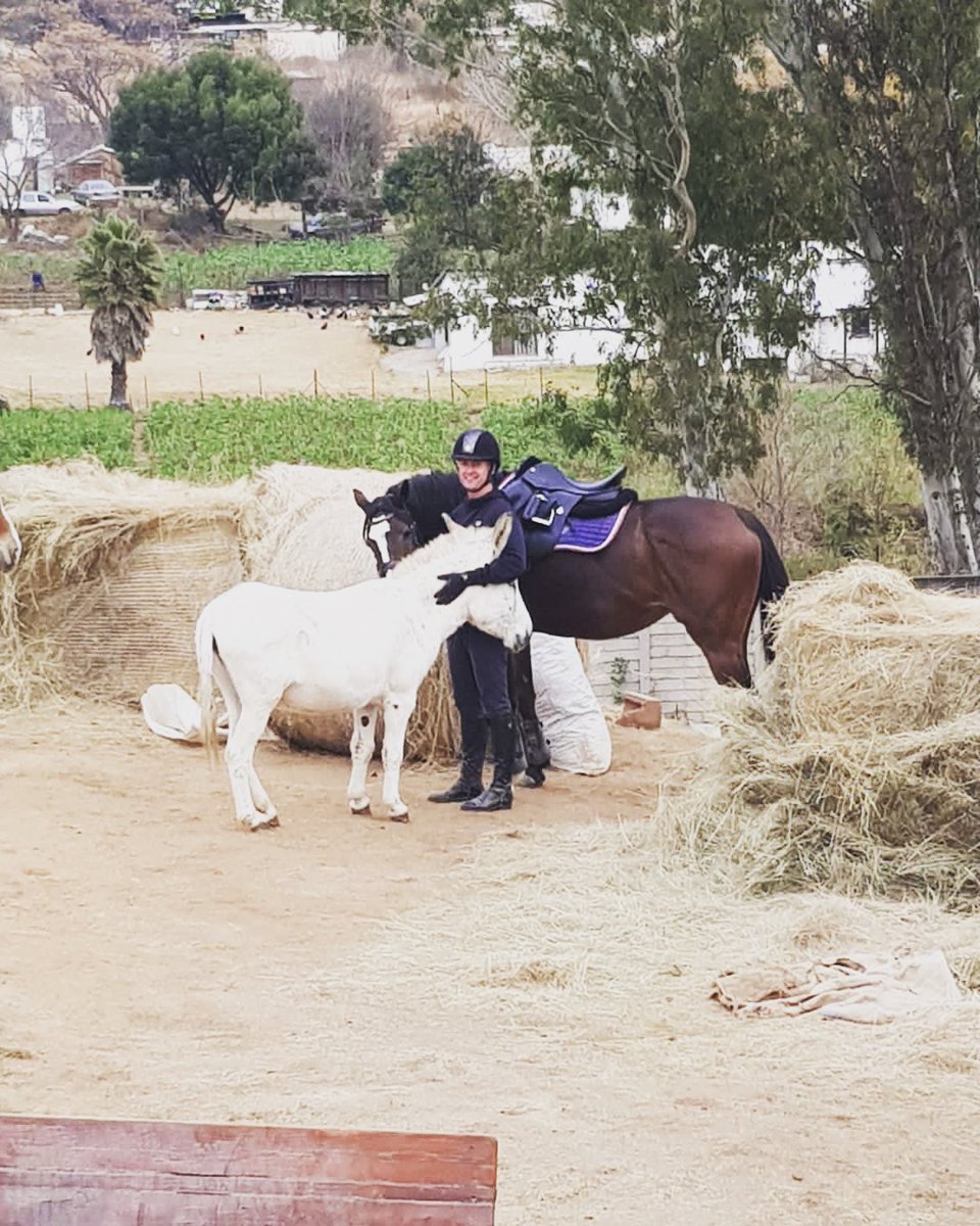 ELDoradostables's tweet photo. I don’t think there is one person that didn’t miss Tyler! So glad to have him back 🥰
#donkey #donkeylove #donkeycuddles #ourdonkey #bestdonkey #weadorehim #welovehim #wemissedhim #eldoradostables #eldoradofamily #storm #tb #mare #prettygirl https://t.co/9zRV9iWgG4