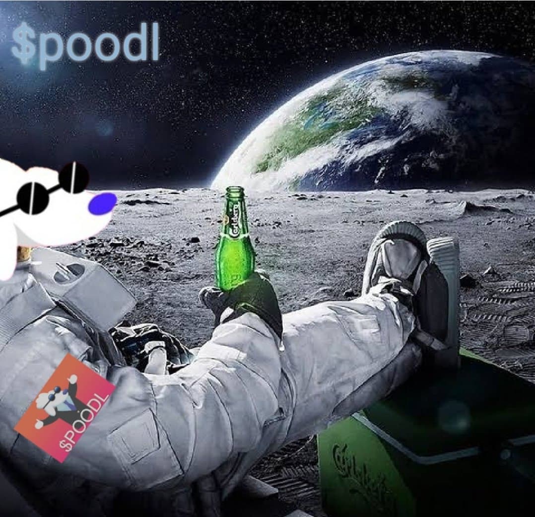 POODLCHAIN's tweet image. Air Bud was a cool movie but if you want to see a REAL underdog story get yourself a bag of POODL on PancakeSwap today and get a staring role in your very own movie, call it SPACE BUD THE MOON POODL
poodltoken.com