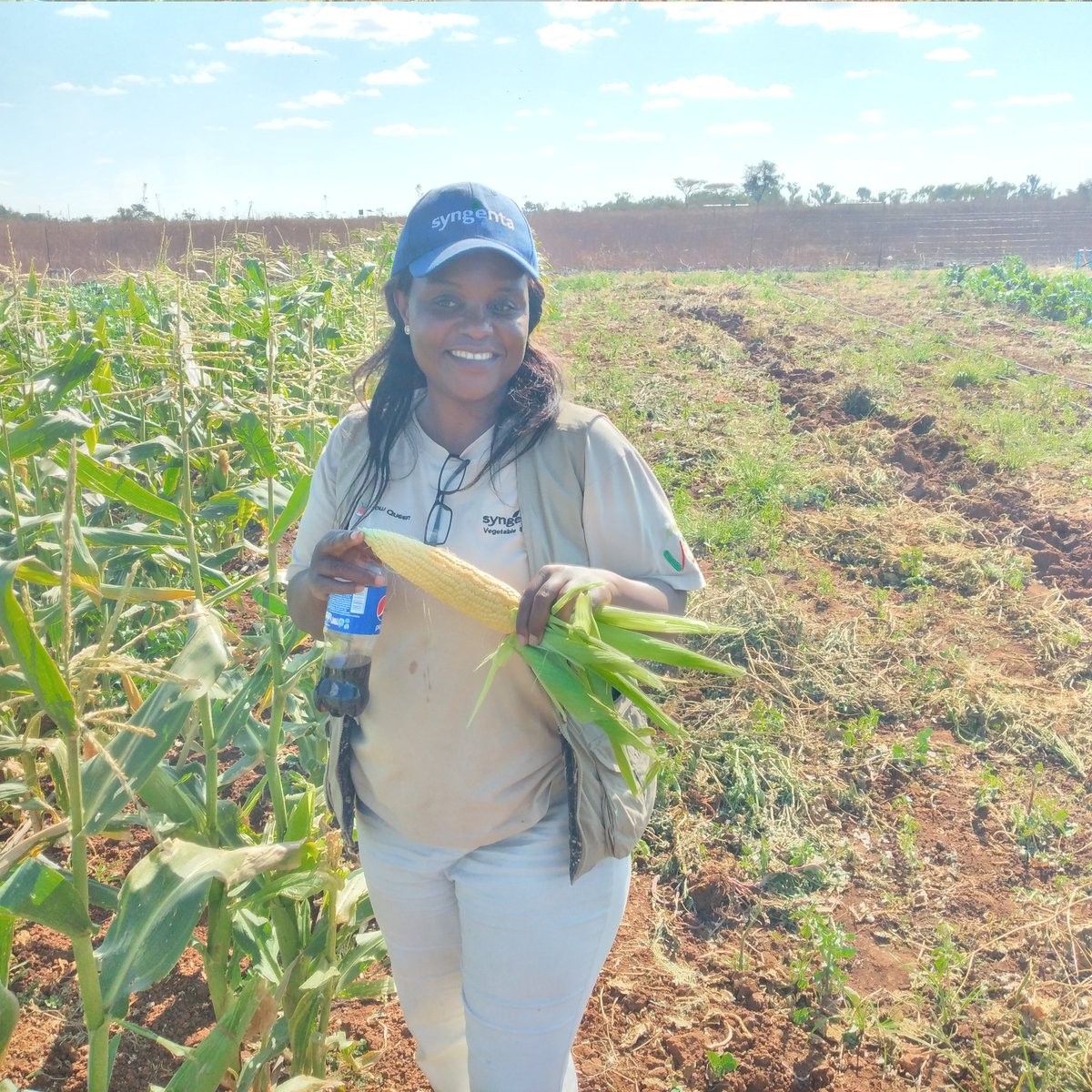 CelinaHatidani's tweet photo. Farming will stop when my heart stops beating l: Game on. Embracing every mrng knowing that I will be in contact with the soil is healing.
@WondertigerAgro @JohnMuchenje4 @shiftorganics @safarms991 @FarmDudeZW @MrHandsome_ZA @amin_maslah @yofavAgronomist @agricbiznews_zw https://t.co/DIO1QVZRbE